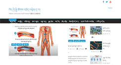 Desktop Screenshot of commuhealtibet.org